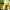 Golden Crest Juicer